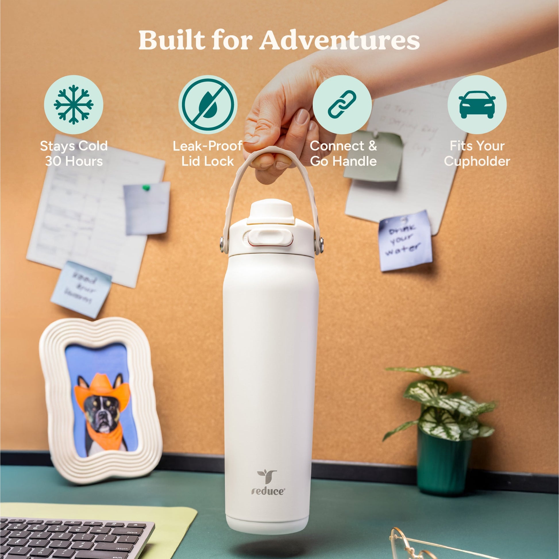 aura-26-oz-r5 Aura_26oz_Unbleached_PDP_Infographic_1.jpg