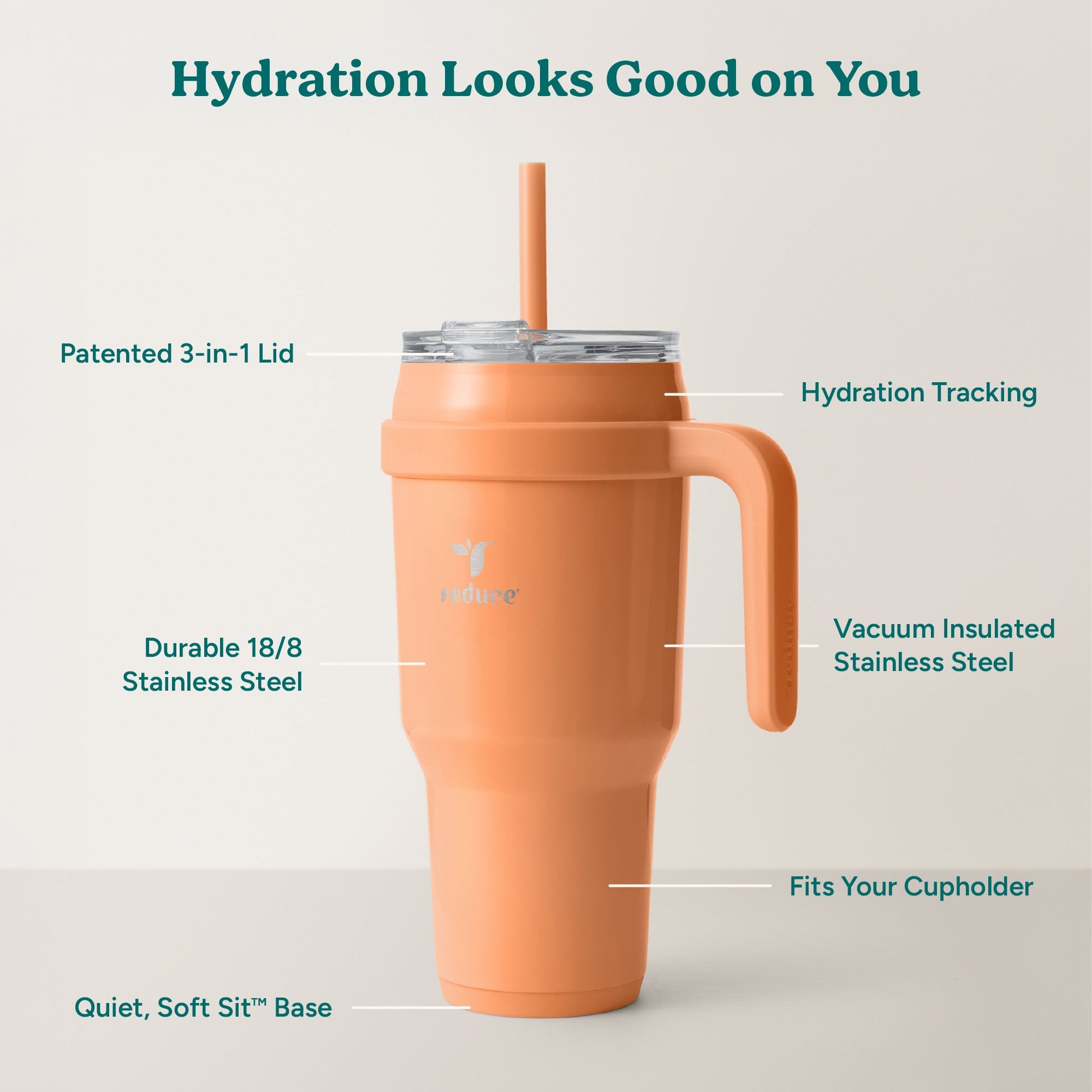 cold1-40-oz-o6 Cold1_40oz_Papaya_Infographic_2.jpg