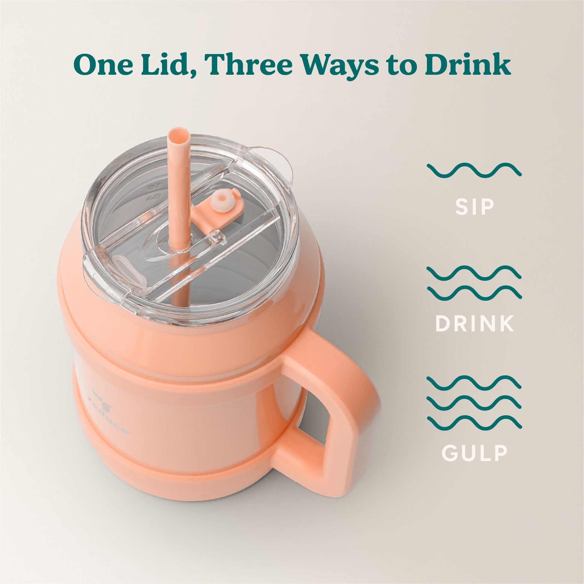 cold1-desktop-50-oz-v0 Cold1_50oz_Desktop_Sedona_Infographic_3.jpg